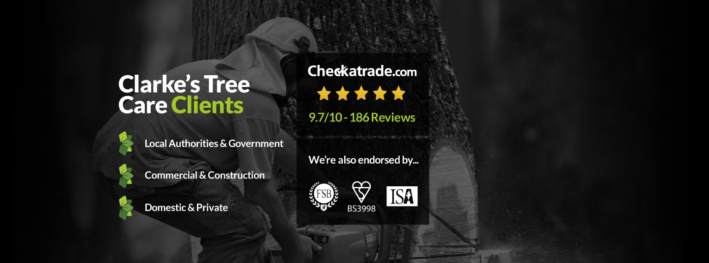 Clarkes Tree Care Clients