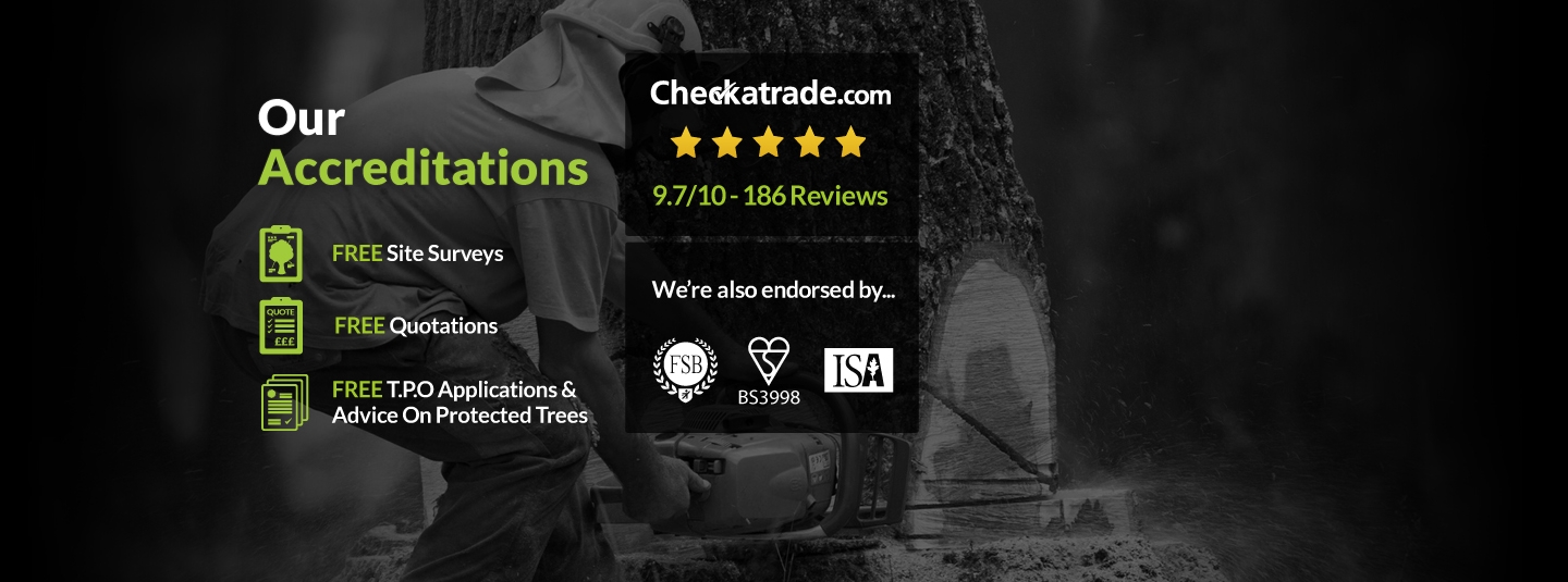 Clarkes Tree Care Our Accreditations