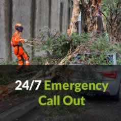 Clarkes Tree Care Emergencies