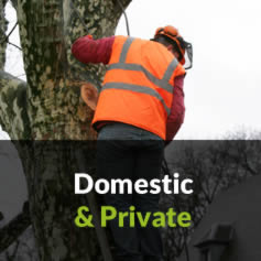 Clarkes Tree Care Clients - Domestic