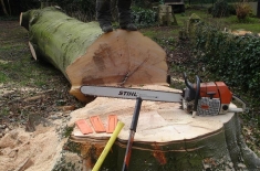 Clarkes Tree Care Tree Felling